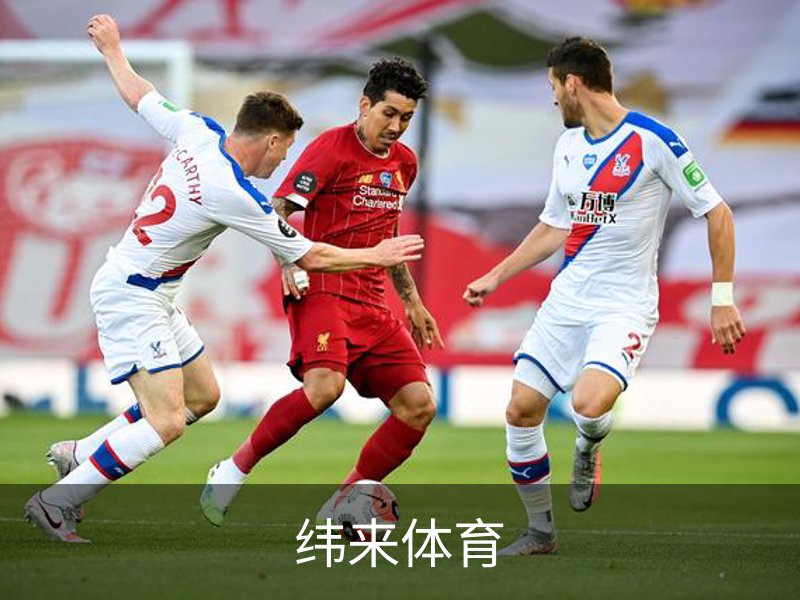 了解纬来体育
